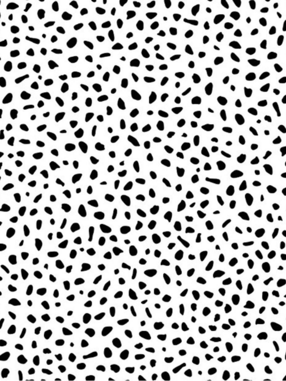 Opalhouse - Speckled Dot 198"x20.5" Peel and Stick Wallpaper